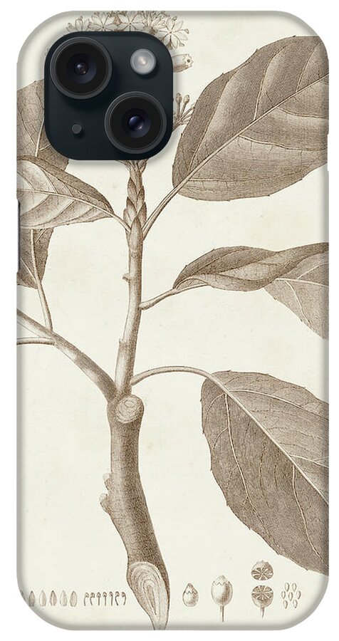 Botanical Floral iPhone Case featuring the painting Antique Sepia Botanicals Ix by Unknown