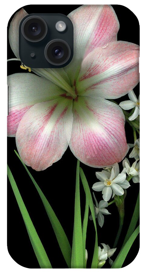 Apple Blossom Amaryllis Paper White Flowers iPhone Case featuring the painting Apple Blossom Amaryllis & Paper Whites by Susan S. Barmon