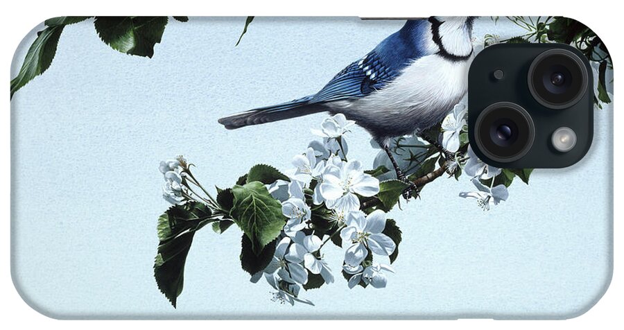A Bluejay Rests On An Apple Tree iPhone Case featuring the painting Apple Blossoms And Bluejay by Ron Parker