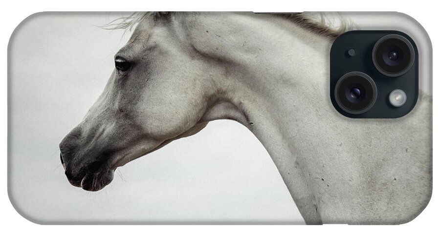 Horse iPhone Case featuring the photograph Arabian Horse Portrait by Dimitar Hristov