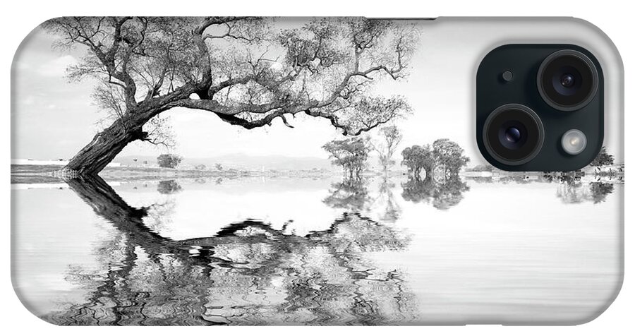 Black And White Photography iPhone Case featuring the photograph Arbol En Agua 3 Bn by Moises Levy