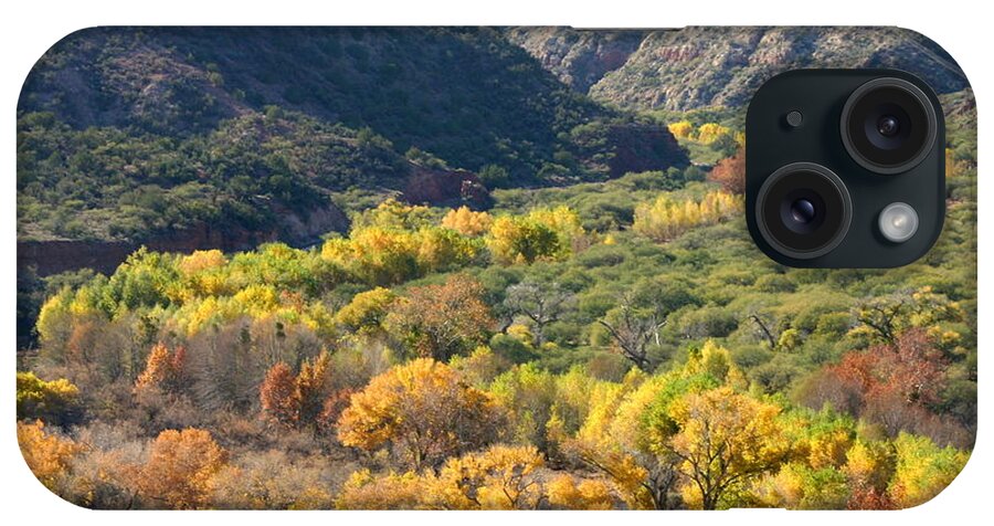 Arizona iPhone Case featuring the photograph Arizona Canyon In Autumn by Yourmap