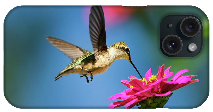 Hummingbird iPhone Case featuring the photograph Art of Hummingbird Flight by Christina Rollo