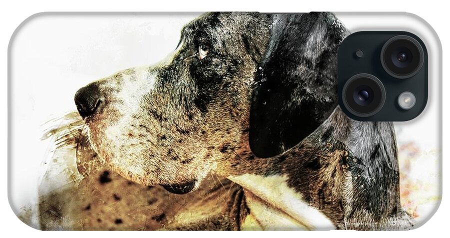 Great Dane iPhone Case featuring the photograph Great Dane Portrait by Melissa Bittinger