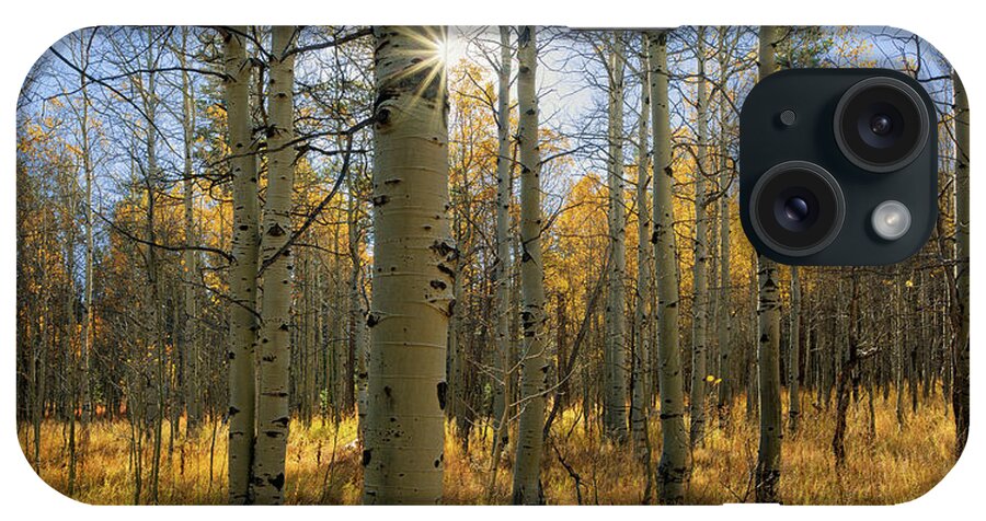 Tranquility iPhone Case featuring the photograph Aspen Grove South Lake Tahoe, California by Vns24@yahoo.com