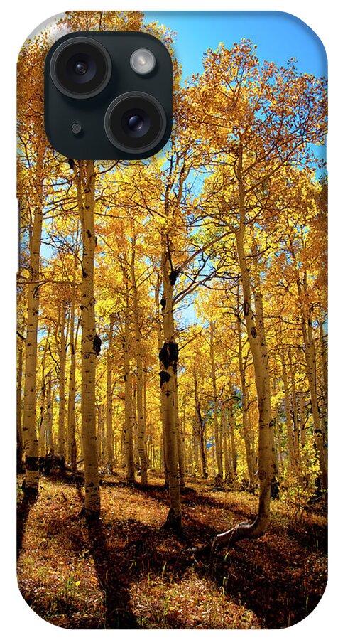 Tranquility iPhone Case featuring the photograph Aspen Trees In Hill by Kimberly Whitaker
