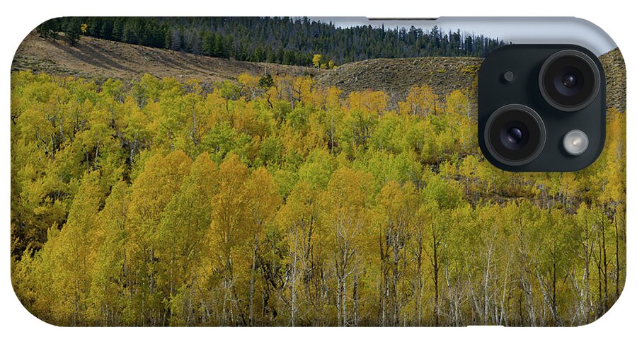 Fall Colors iPhone Case featuring the photograph Aspen Trees with fall colors by Julieta Belmont
