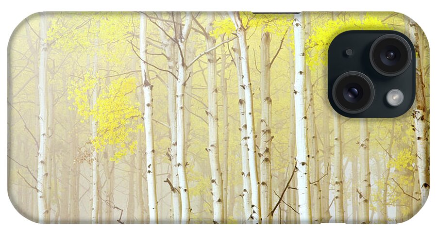 Scenics iPhone Case featuring the photograph Aspens In Fog by J.j. Raia