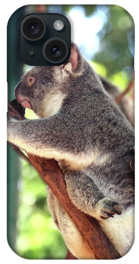 Koala iPhone Case featuring the mixed media Australia 6 by Karen Williams