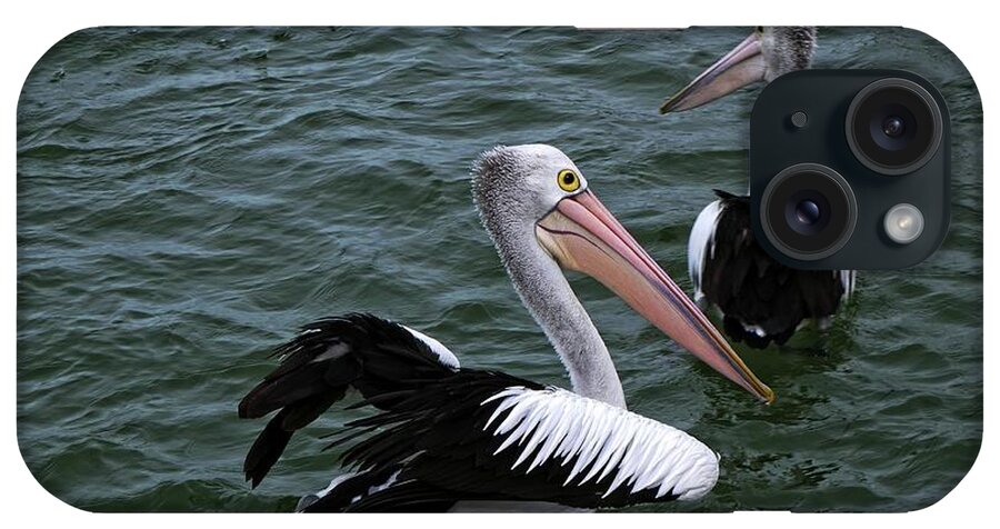 Wildlife iPhone Case featuring the photograph Australian Pelicans by Martin Smith