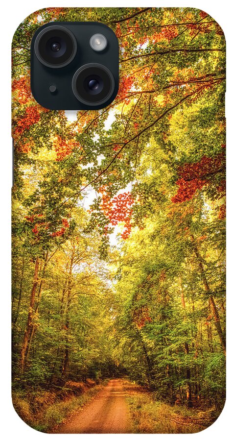 Autumn iPhone Case featuring the photograph Autumn Colorful Path by Philippe Sainte-Laudy