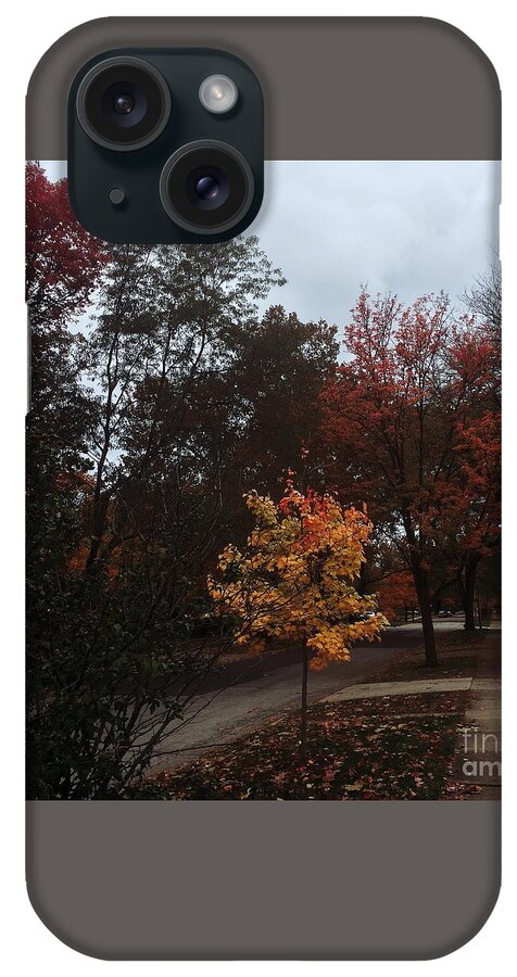 Autumn iPhone Case featuring the photograph Autumn Colors in the Neighborhood by Frank J Casella