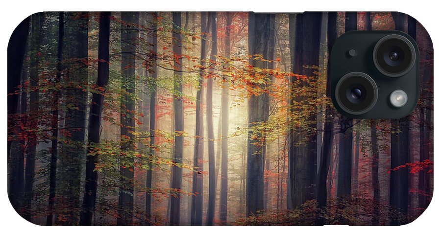 Tranquility iPhone Case featuring the photograph Autumn Fall At Forest by Philippe Sainte-laudy Photography