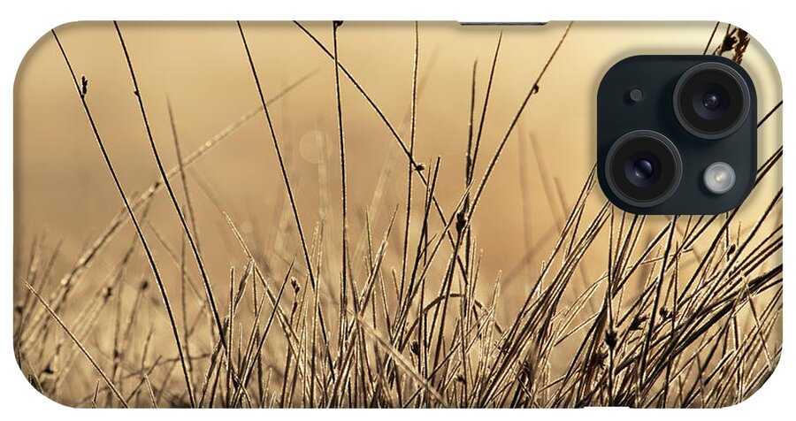 Autumn iPhone Case featuring the photograph Autumn Grass in Colorado by Kevin Schwalbe