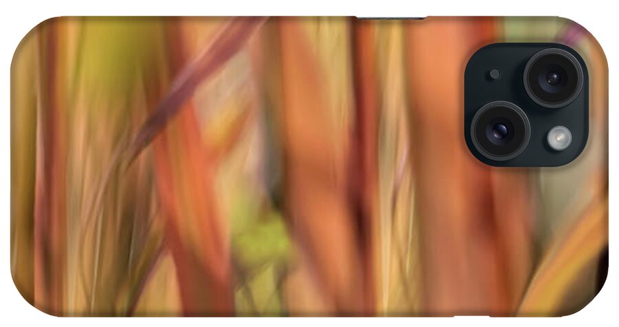 Photography iPhone Case featuring the photograph Autumn Grass Scape by Cora Niele