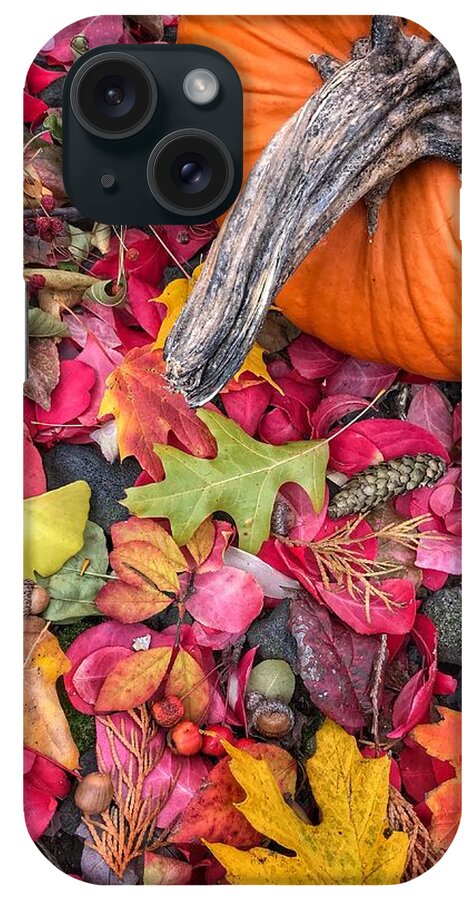 Pumpkin iPhone Case featuring the photograph Autumn Harvest by Jill Love