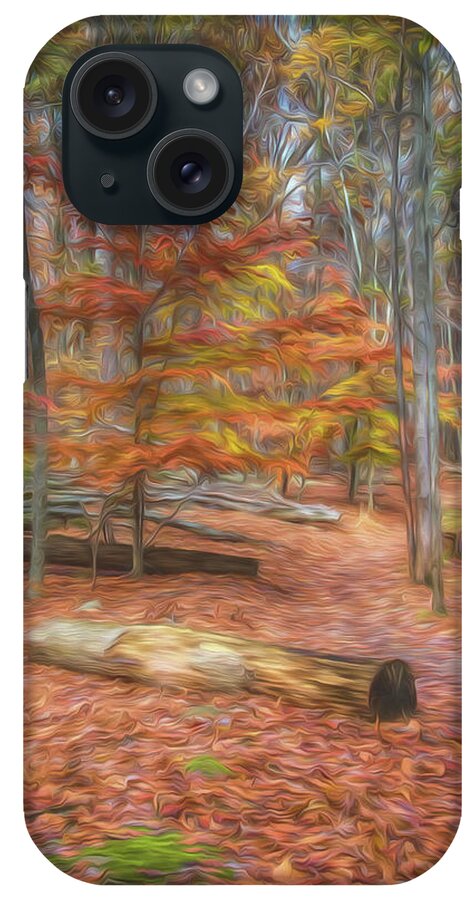 Fall iPhone Case featuring the photograph Autumn Hikinig Trail by Alan Goldberg