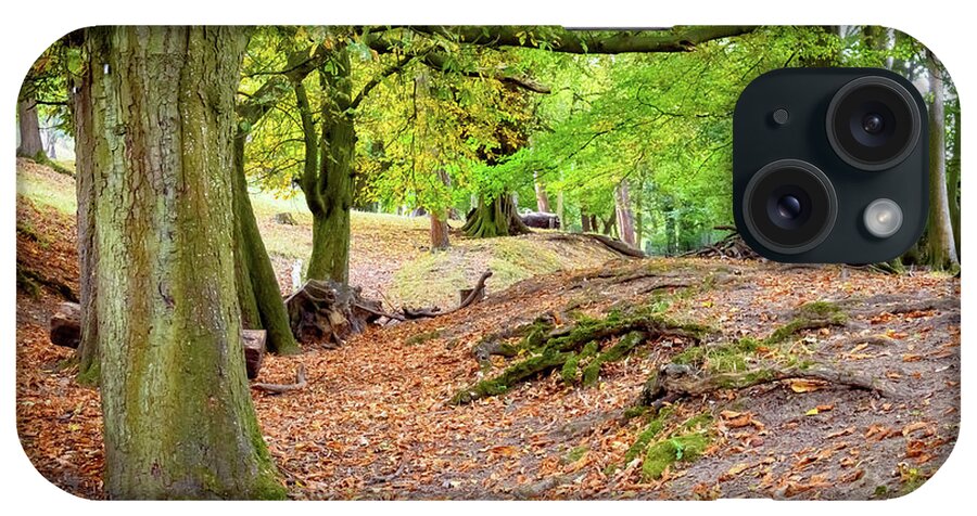 Autumn iPhone Case featuring the photograph Autumn in the woods by Colin Rayner