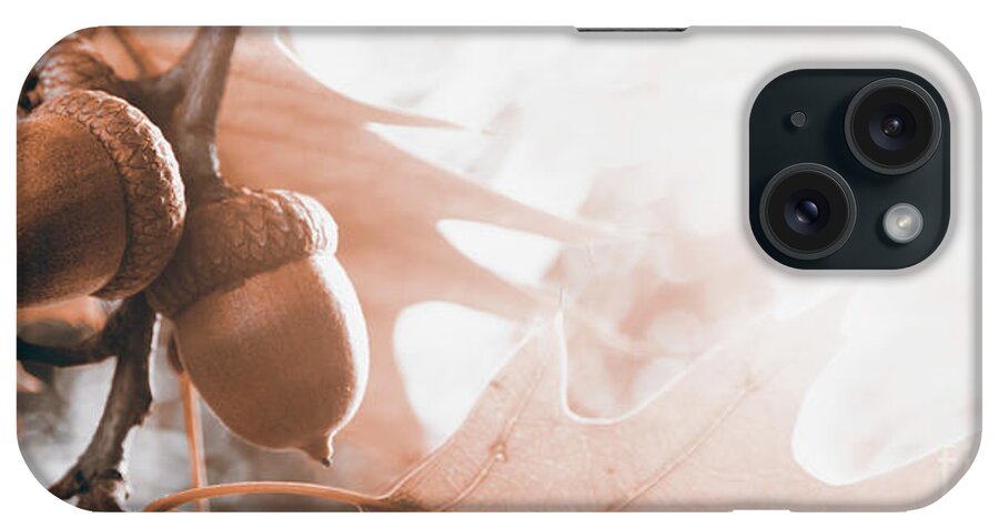 Acorn iPhone Case featuring the photograph Autumn leaves and acorn background by Jelena Jovanovic