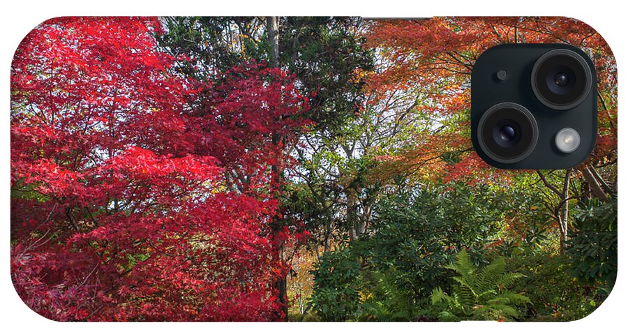 Jenny Rainbow Fine Art Photography iPhone Case featuring the photograph Autumn Time in Japanese Garden 5 by Jenny Rainbow