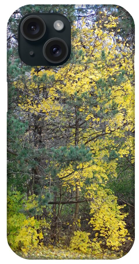  iPhone Case featuring the photograph Autumn Transition 186 by Ee Photography
