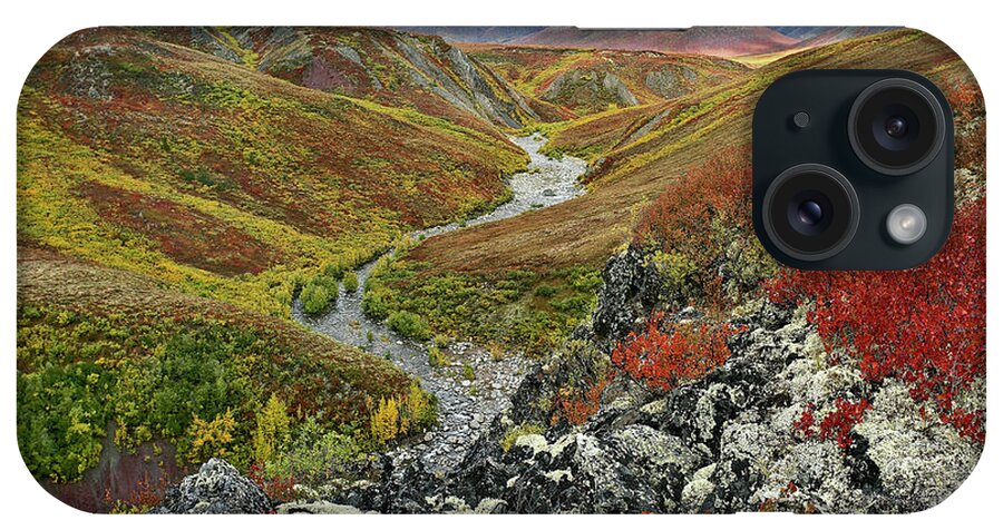 00586290 iPhone Case featuring the photograph Autumn Tundra, Ogilvie Mts, Tombstone Territorial Park, Yukon by Tim Fitzharris