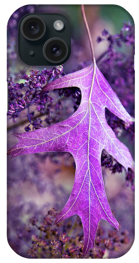 Autumnal iPhone Case featuring the photograph Autumnal Ultra Violet Sound by Silva Wischeropp