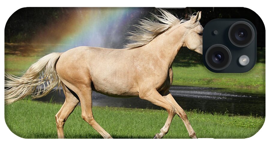 Av4c8230 Mangalarga Filly-liber Dide-marchadors In Motion iPhone Case featuring the photograph Av4c8230 Mangalarga Filly-liber Dide-marchadors In Motion, Fl by Bob Langrish