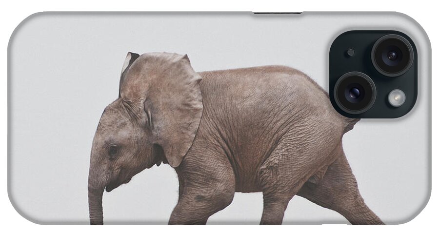 Addo Elephant National Park iPhone Case featuring the photograph Baby Elephant by Shaun