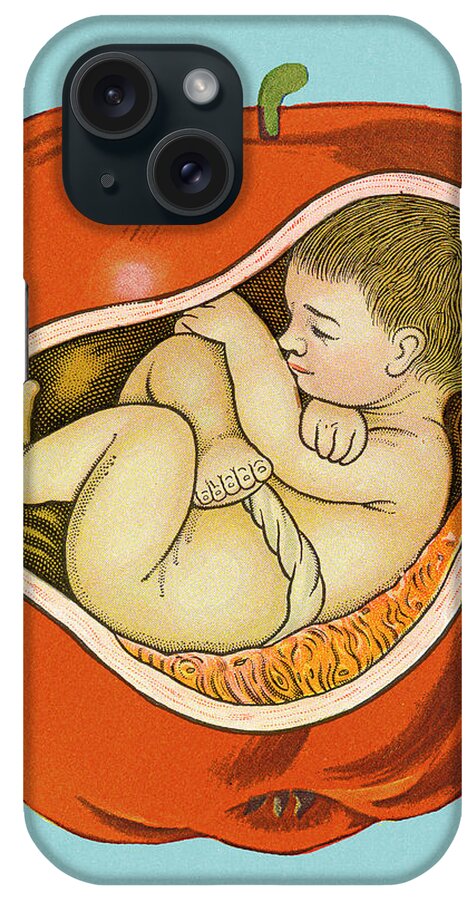 Apple iPhone Case featuring the drawing Baby Inside Apple by CSA Images
