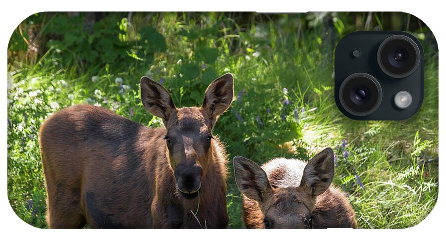 Alaska iPhone Case featuring the photograph Baby Moose in Woods by Scott Slone