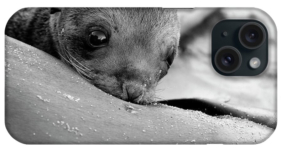 Seal iPhone Case featuring the photograph Moms Milk by John F Tsumas