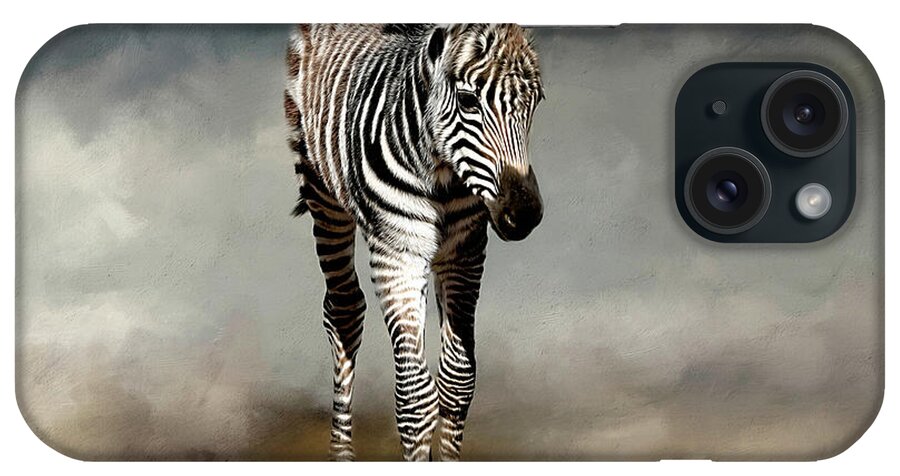 Zebra iPhone Case featuring the photograph Baby Stripes by Donna Kennedy