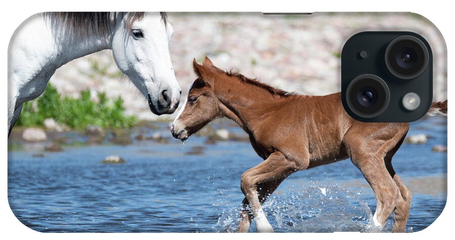 Wild Horses iPhone Case featuring the photograph Baby's first river trip by Mary Hone