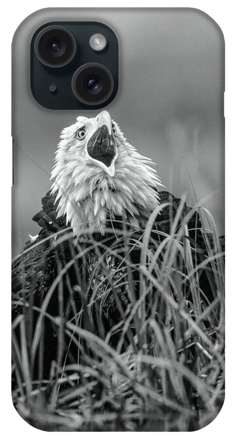 Disk1215 iPhone Case featuring the photograph Bald Eagle Calling by Tim Fitzharris