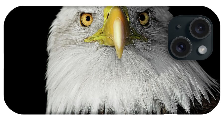 Animal Themes iPhone Case featuring the photograph Bald Eagle by Dansphotoart On Flickr