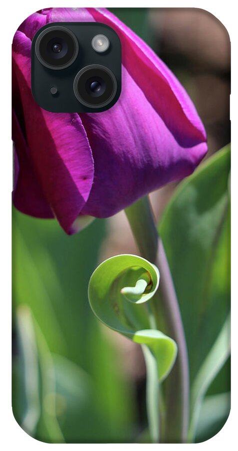 Tulip iPhone Case featuring the photograph Balletic by Mary Anne Delgado