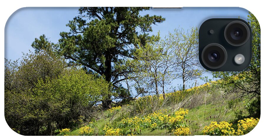 Balsamroot And Pine Near Klemgard Park iPhone Case featuring the photograph Balsamroot and Pine Near Klemgard Park by Tom Cochran
