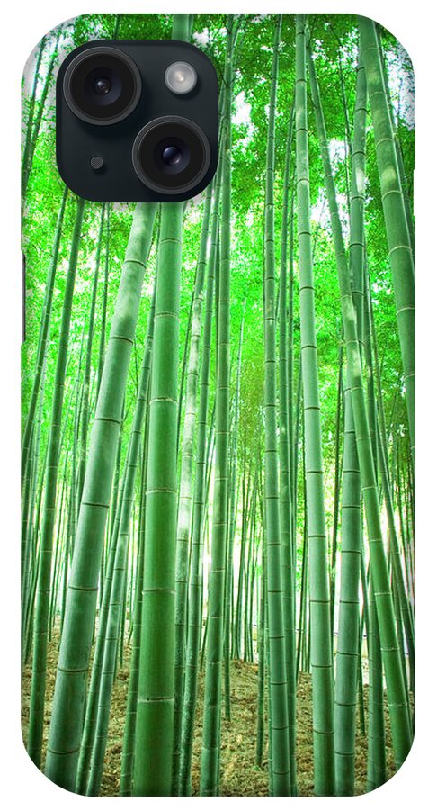 Scenics iPhone Case featuring the photograph Bamboo Grove by Akira Kaede