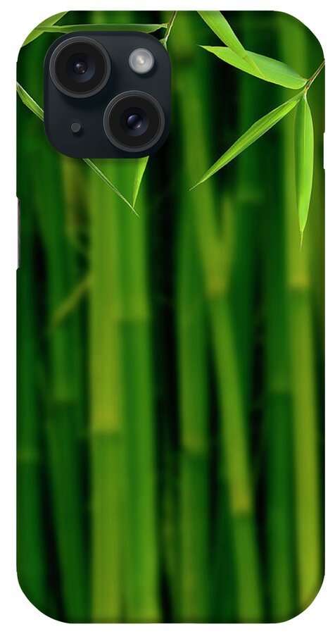 Tropical Rainforest iPhone Case featuring the photograph Bamboo Jungle by Pixhook