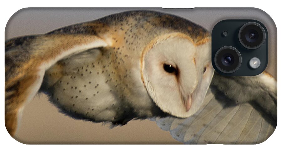 Bird iPhone Case featuring the photograph Barn Owl Up Close by Dennis Hammer