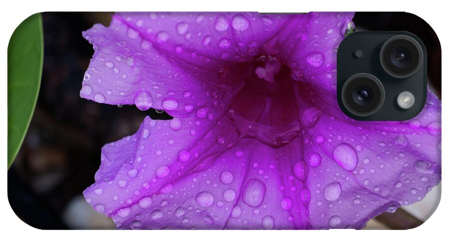 Flower iPhone Case featuring the photograph Beach moonflower by Eric Hafner