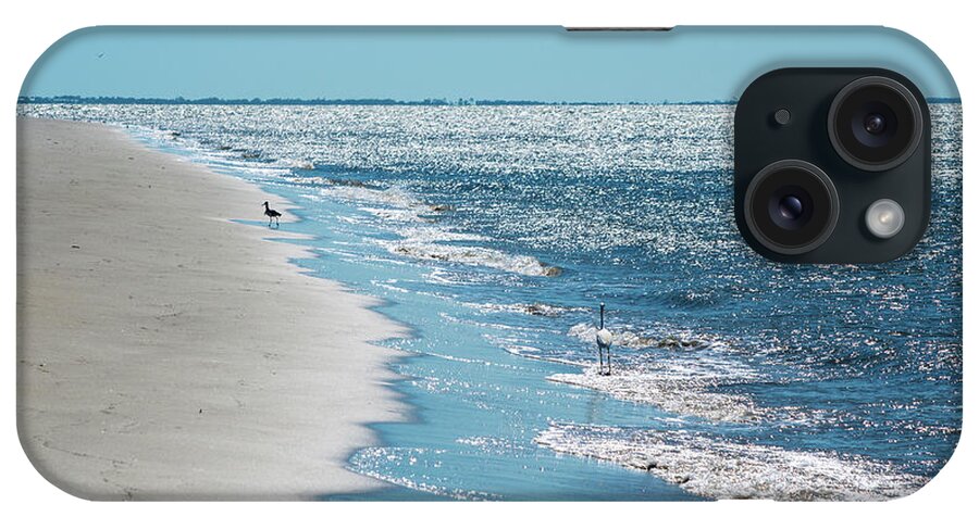 Egret iPhone Case featuring the photograph Beach Strolling with the Birds by Mary Ann Artz