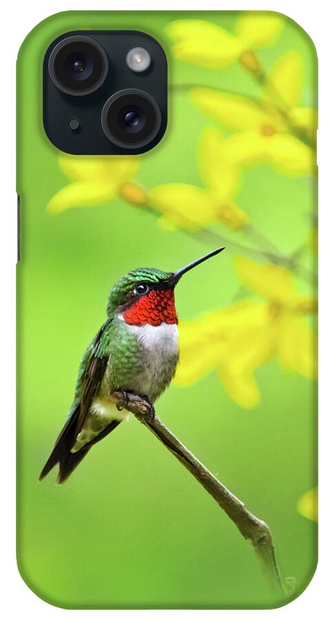 Hummingbird iPhone Case featuring the photograph Beautiful Summer Hummer by Christina Rollo