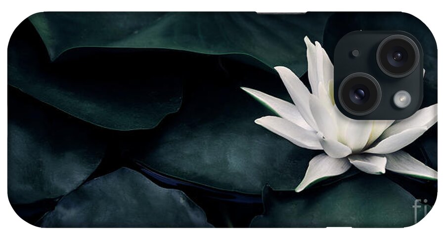 Lotus iPhone Case featuring the photograph Beautiful white lotus flower closeup. Exotic water lily flower o by Jelena Jovanovic