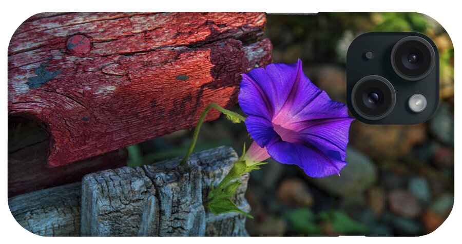 Morning Glory iPhone Case featuring the photograph Beautify by Alana Thrower