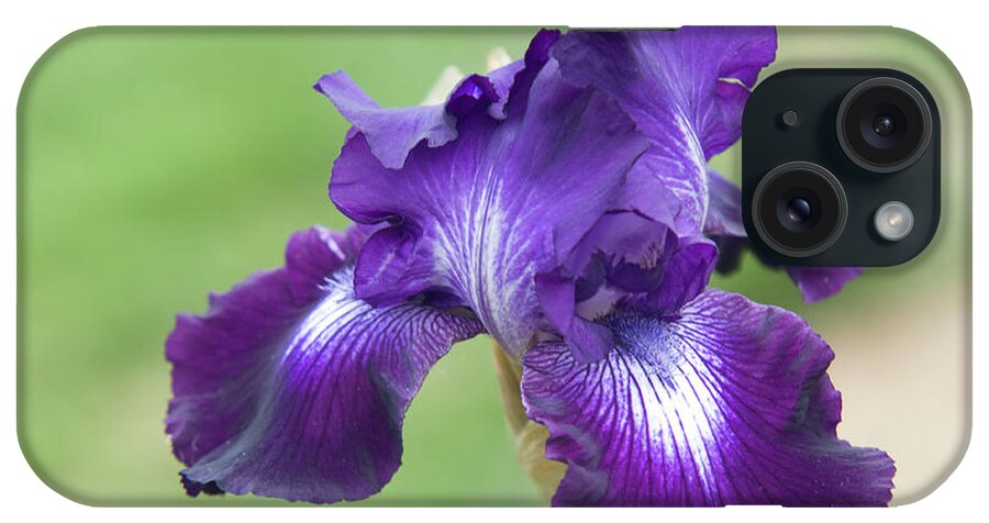 Jenny Rainbow Fine Art Photography iPhone Case featuring the photograph Beauty of Irises. Winners Circle 2 by Jenny Rainbow