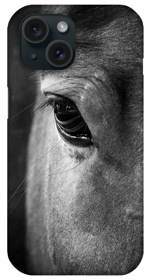 Horse iPhone Case featuring the photograph Beauty by Rachel Morrison