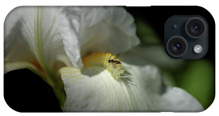 White Bearded Iris With Bee iPhone Case featuring the photograph Bee Yond The Blossom by Mary Lou Chmura