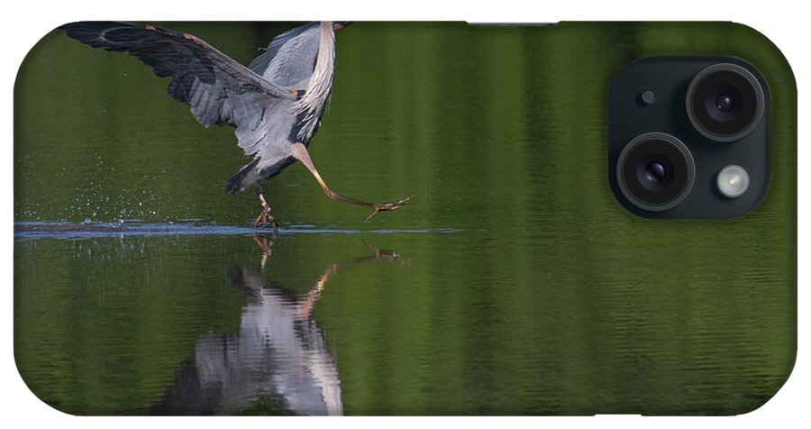 Great Blue Heron iPhone Case featuring the photograph Beep Beep by Art Cole